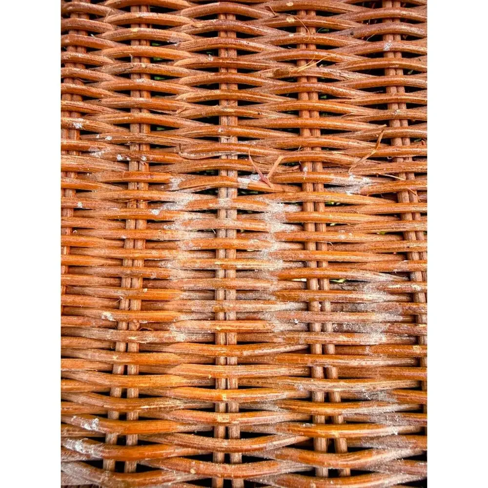 Vintage Watermelon Wicker Picnic Basket PROJECT